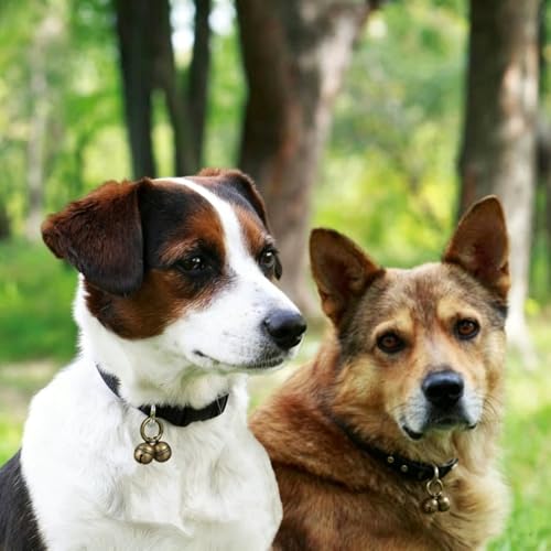 Chyobo Dog Bells for Pet Tracking, 4 Extra Loud Dog & Cat Bells for Collar
