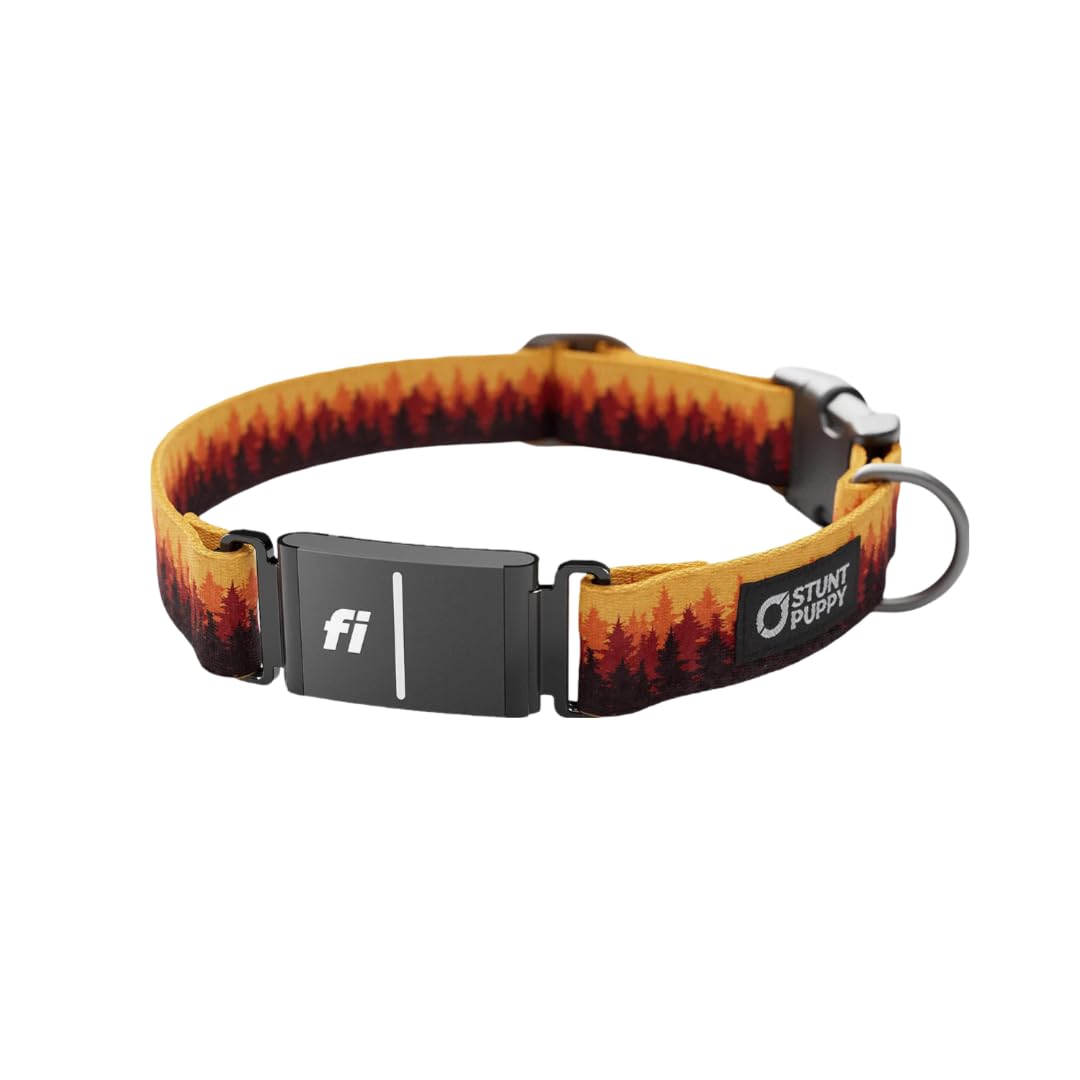 Stunt Puppy Fi Series 3 and 3+ Ready Collar