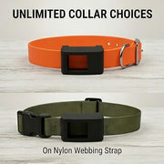 GPS Tracker Dog Collar