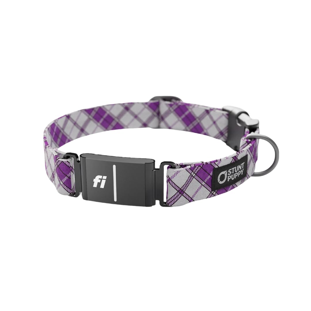 Stunt Puppy Fi Series 3 and 3+ Ready Collar