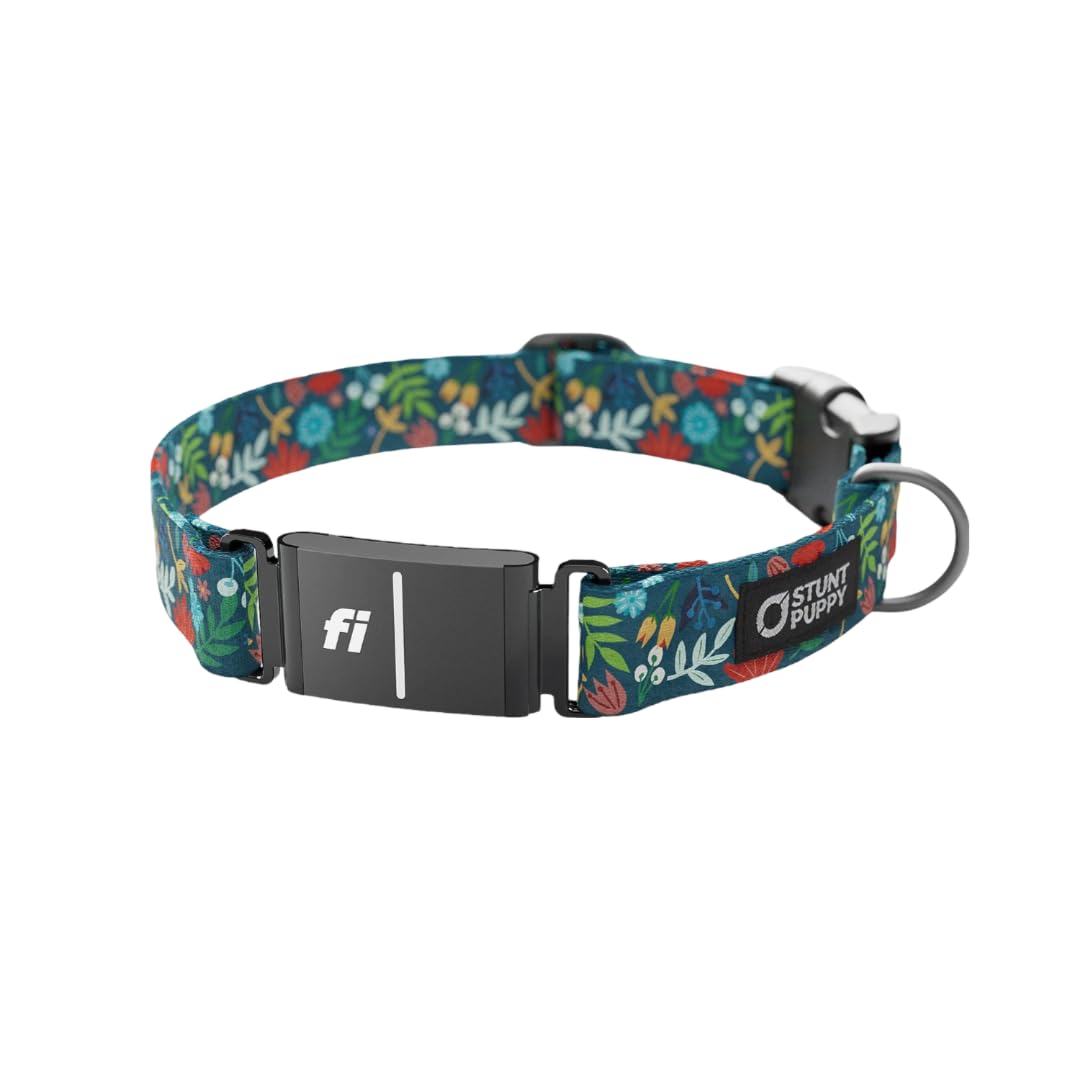 Stunt Puppy Fi Series 3 and 3+ Ready Collar
