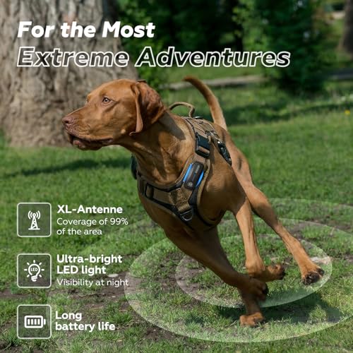 AI GPS Dog Tracker