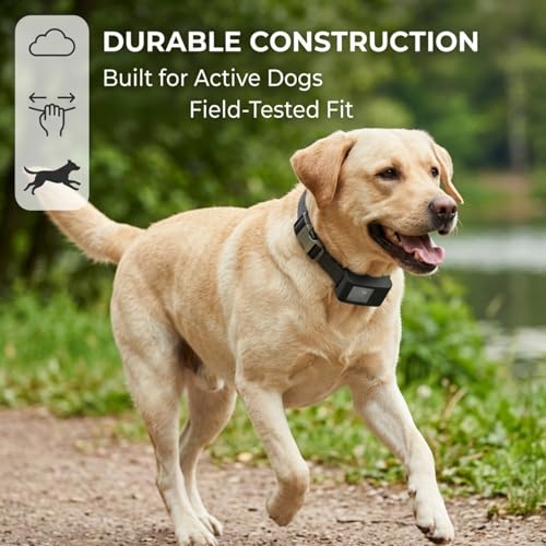 GPS Tracker Dog Collar
