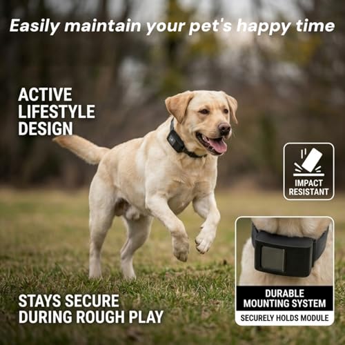 GPS Tracker Dog Collar