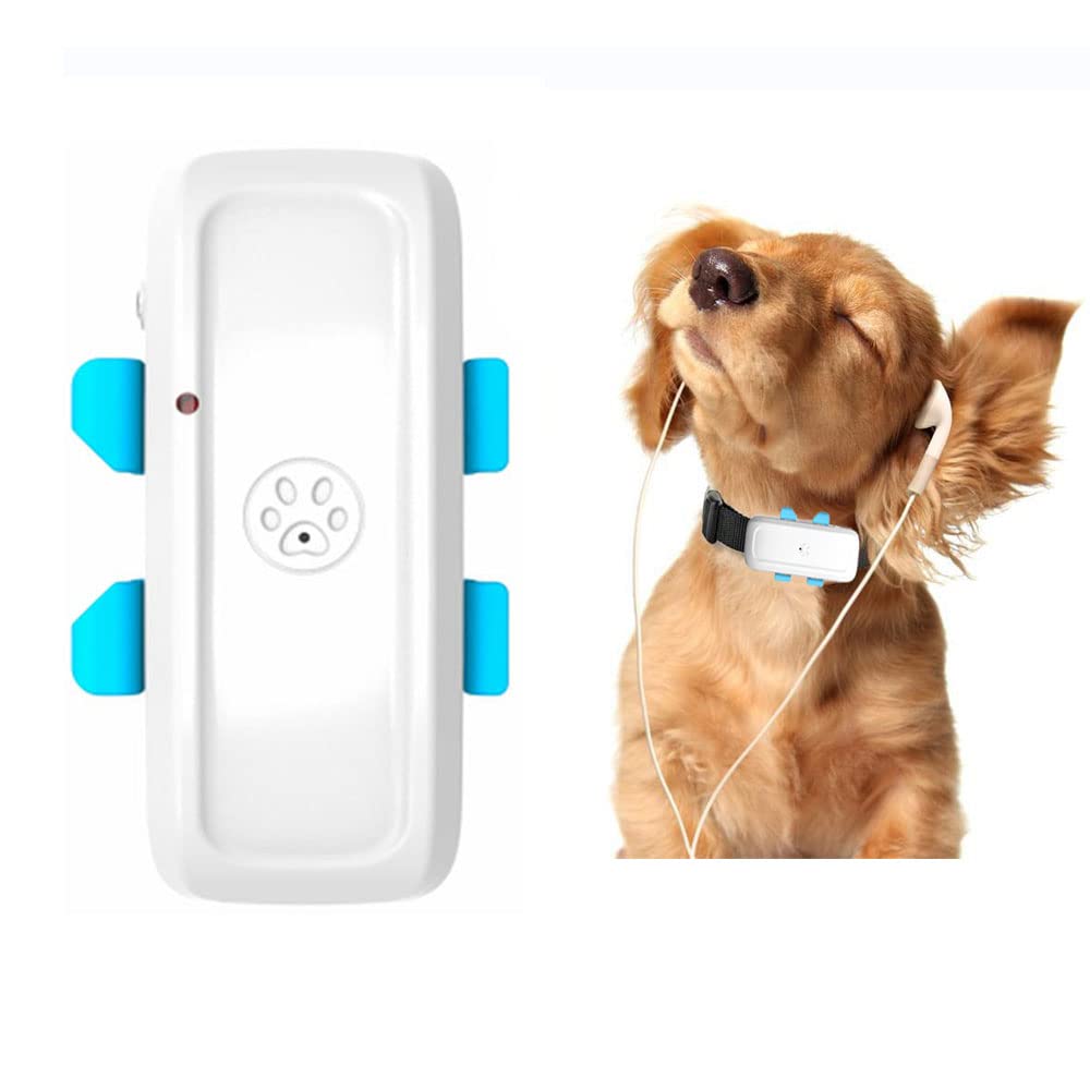 4G GPS Pet Tracker Collar