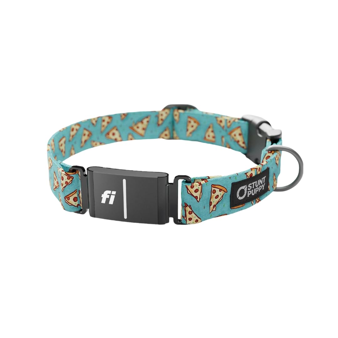 Stunt Puppy Fi Series 3 and 3+ Ready Collar