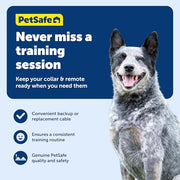 Dog Training Collar Charging Cable