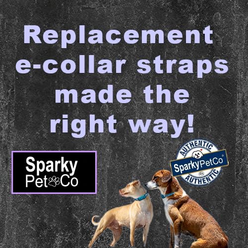 Small Dog Surefit