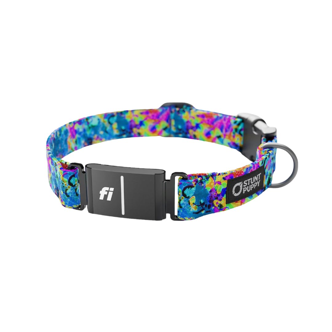 Stunt Puppy Fi Series 3 and 3+ Ready Collar