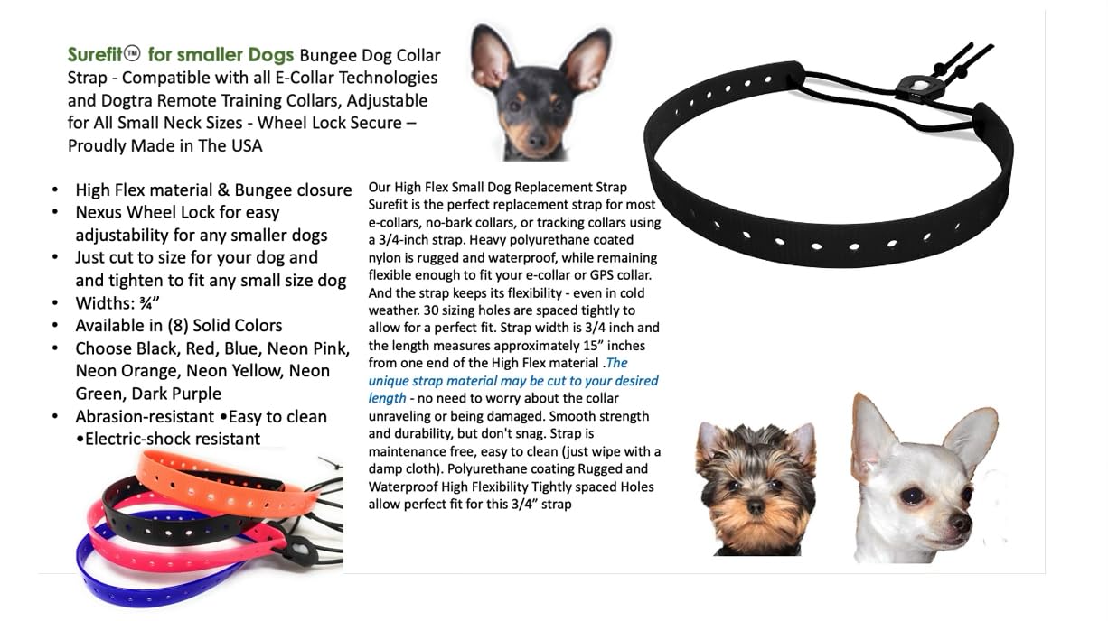 Small Dog Surefit