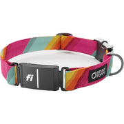 Stunt Puppy Fi Series 3 and 3+ Ready Collar