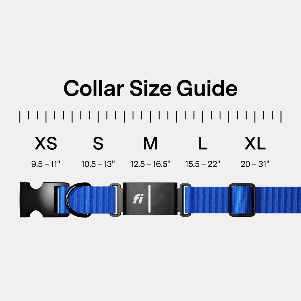 Smart GPS Dog Tracker Collar