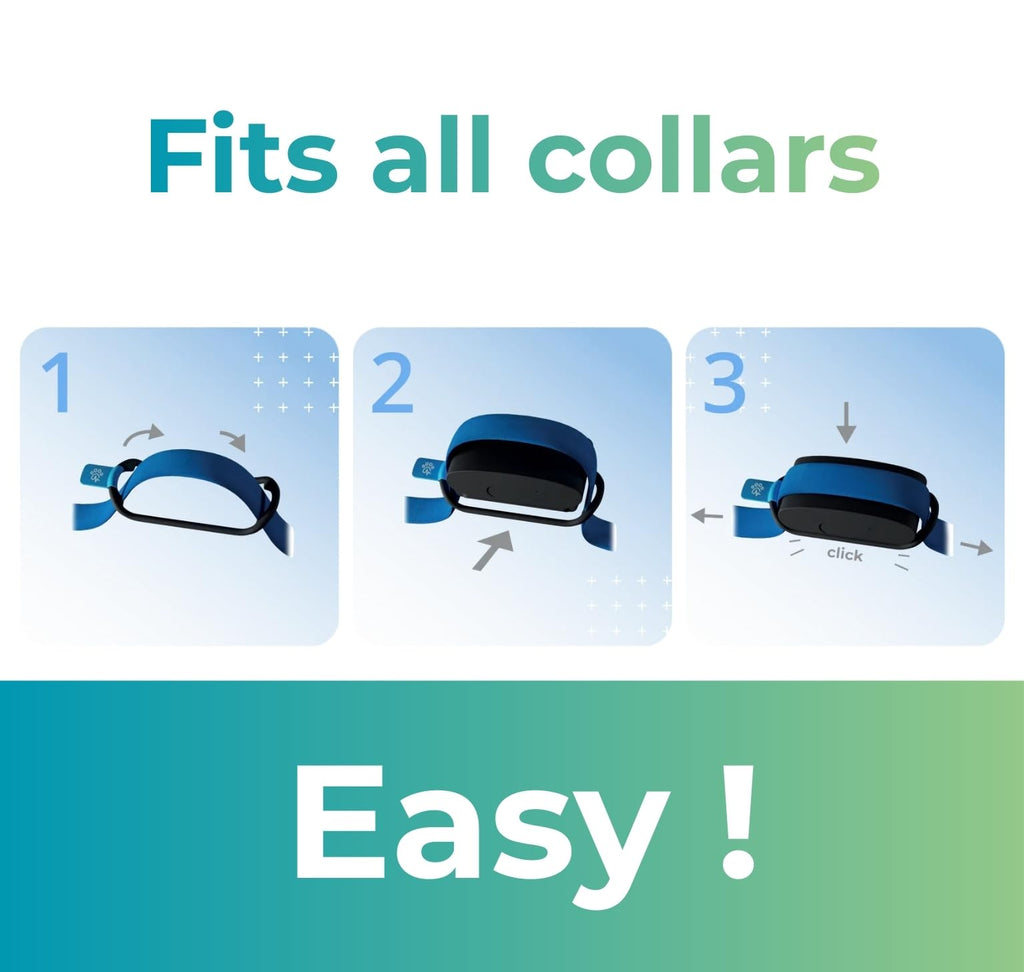 Smart Dog Health GPS Tracker