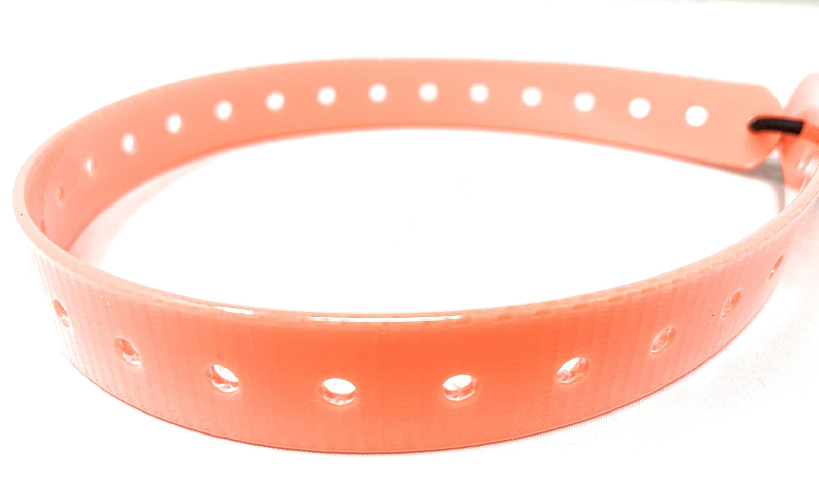 Small Dog Surefit