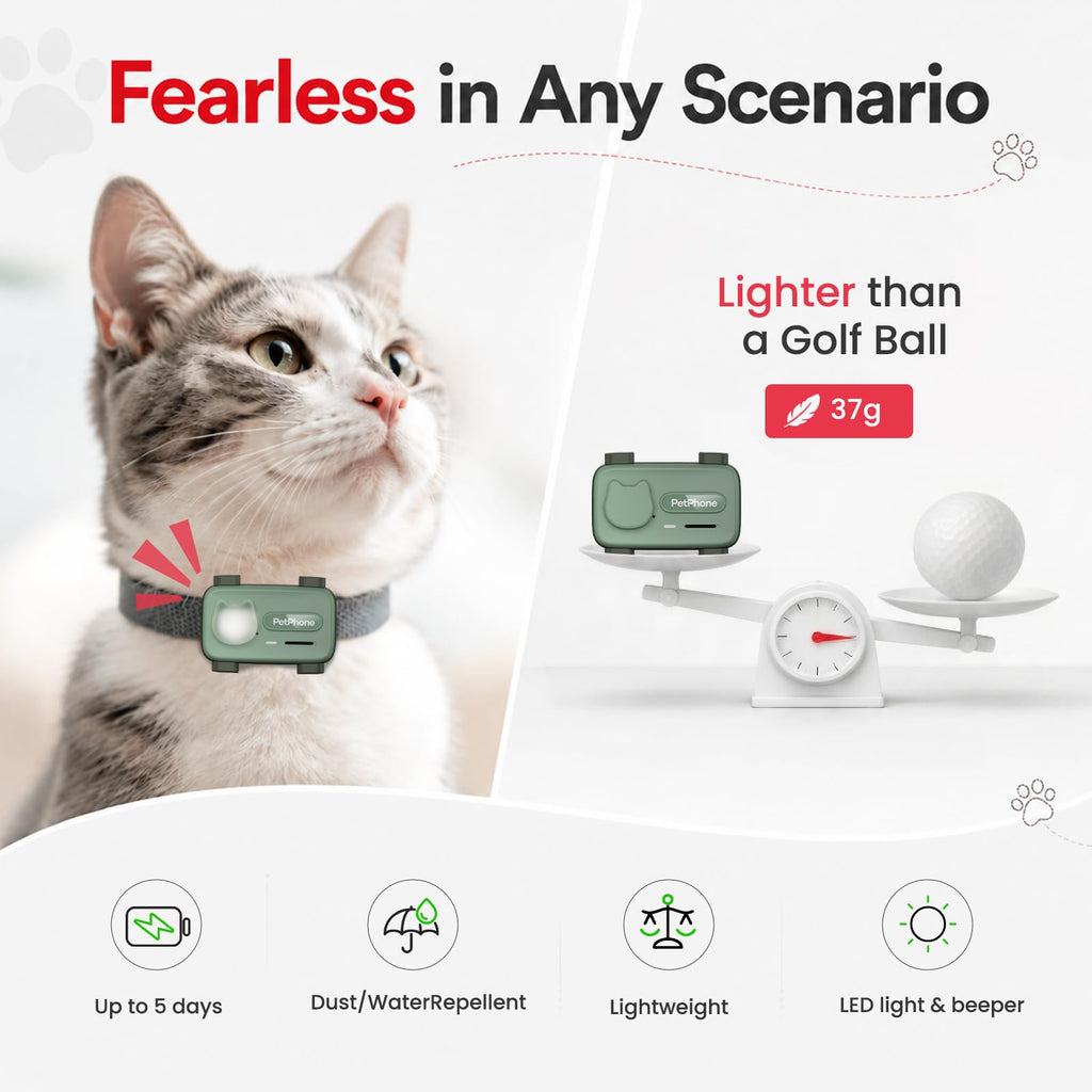 AI Pet Smartphone