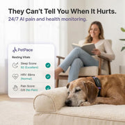 AI Smart Dog Health Collar