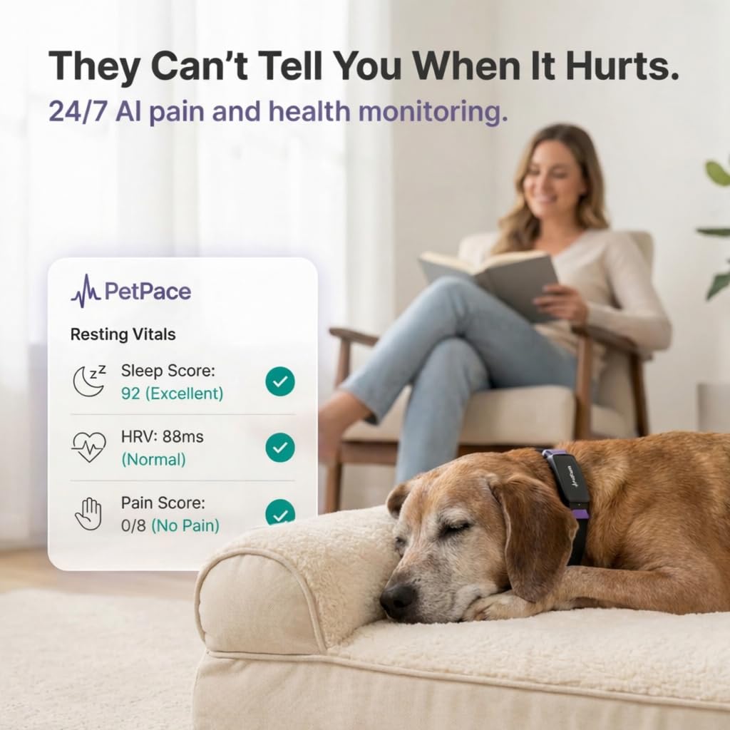 AI Smart Dog Health Collar