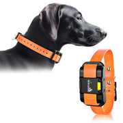 Remote Dog Training Collar