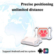 Real-Time Cat Tracker