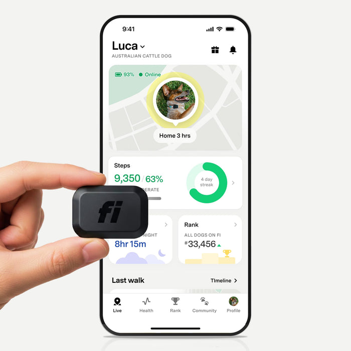 Mini Dog GPS Tracker