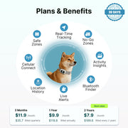 Smart GPS Dog Tracker