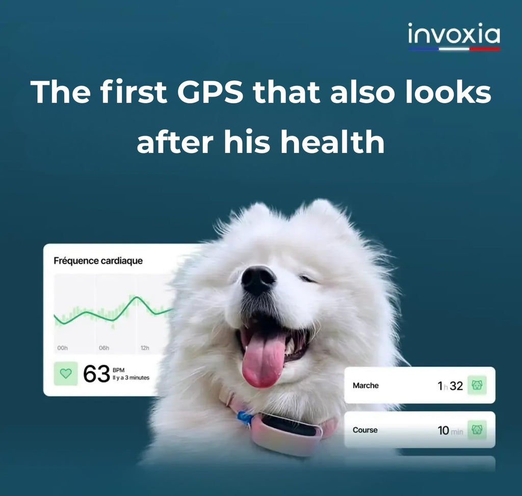 Smart Dog Health GPS Tracker