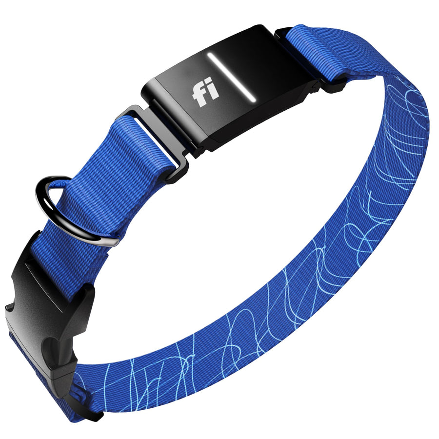 Smart GPS Dog Tracker Collar