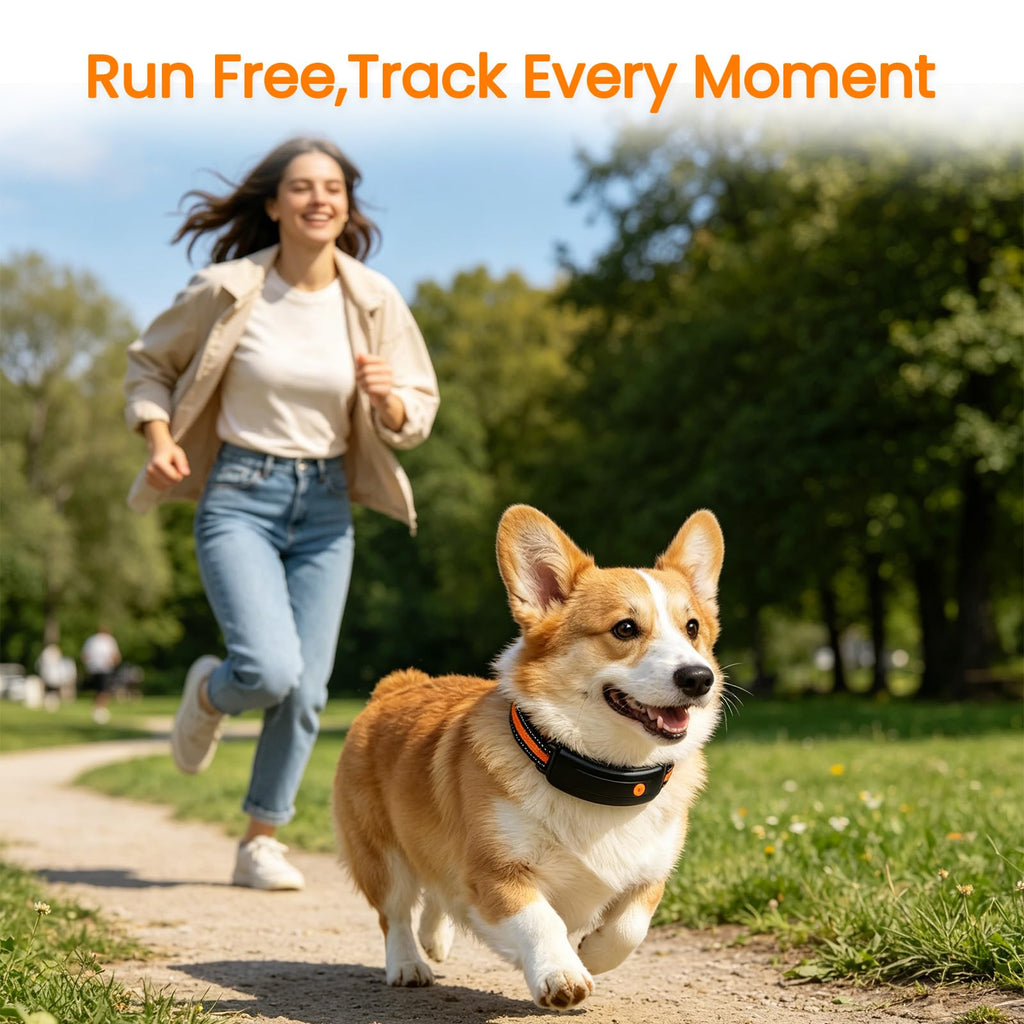 Smart Dog Health Collar
