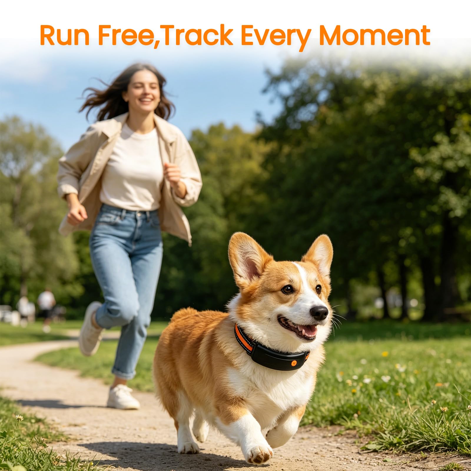 Smart Dog Health Collar
