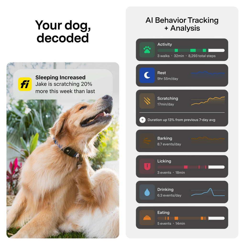Mini Dog GPS Tracker