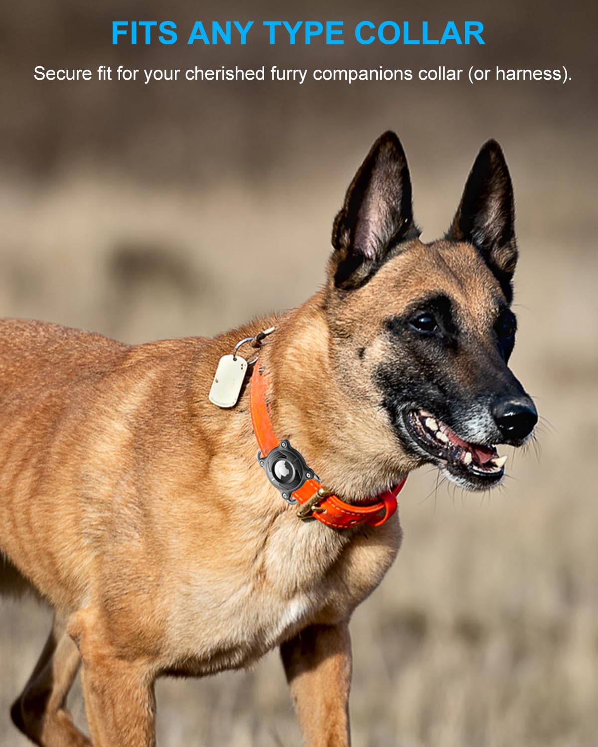 Waterproof AirTag Dog Collar Holder