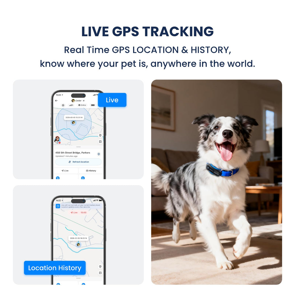 Smart AI GPS Dog Tracker