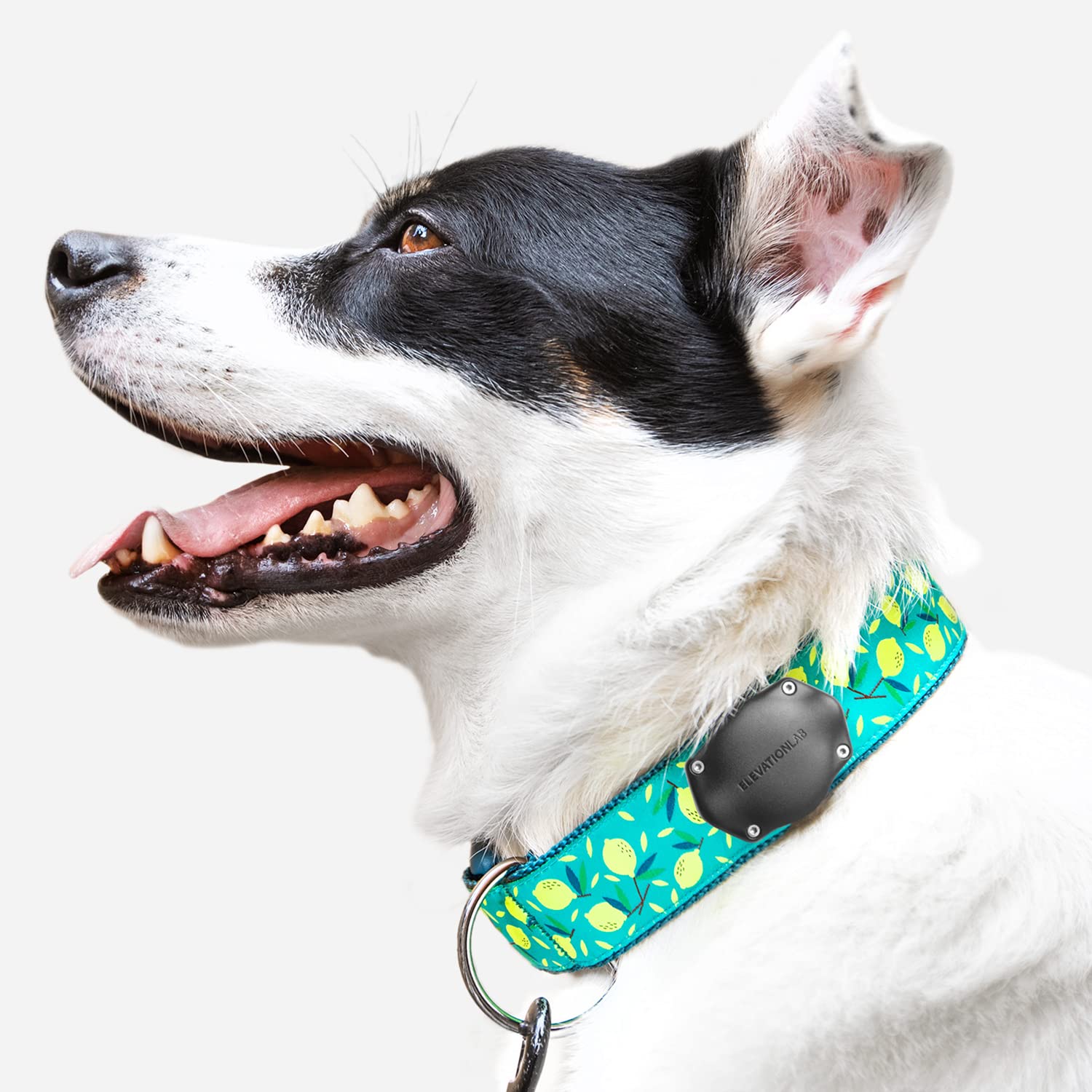 Waterproof AirTag Dog Collar Mount