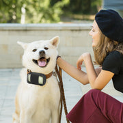 Dog GPS Tracker Carrying Case
