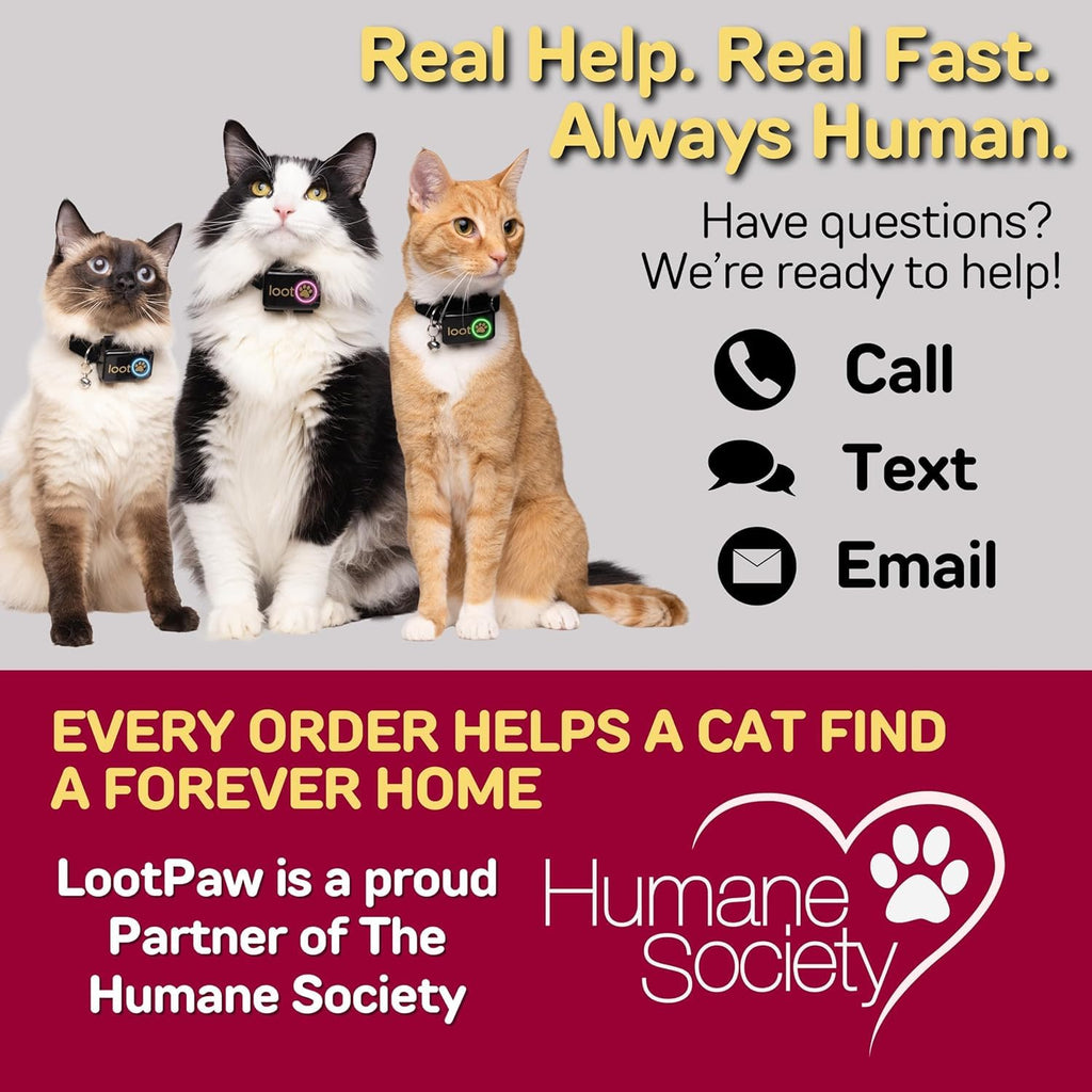 Smart GPS Cat Tracker Collar