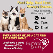 Smart GPS Cat Tracker Collar
