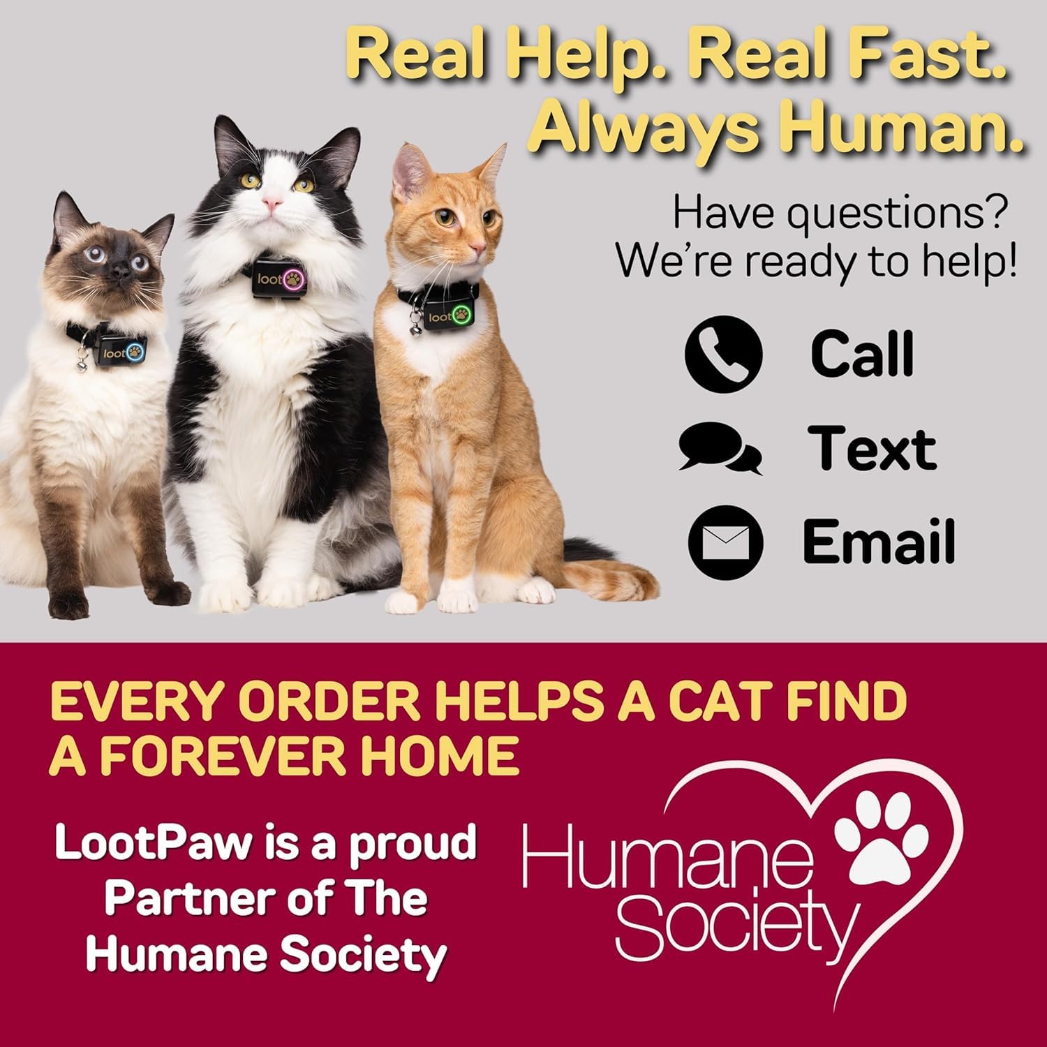 Smart GPS Cat Tracker Collar