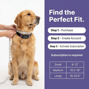 AI Smart Dog Health Collar