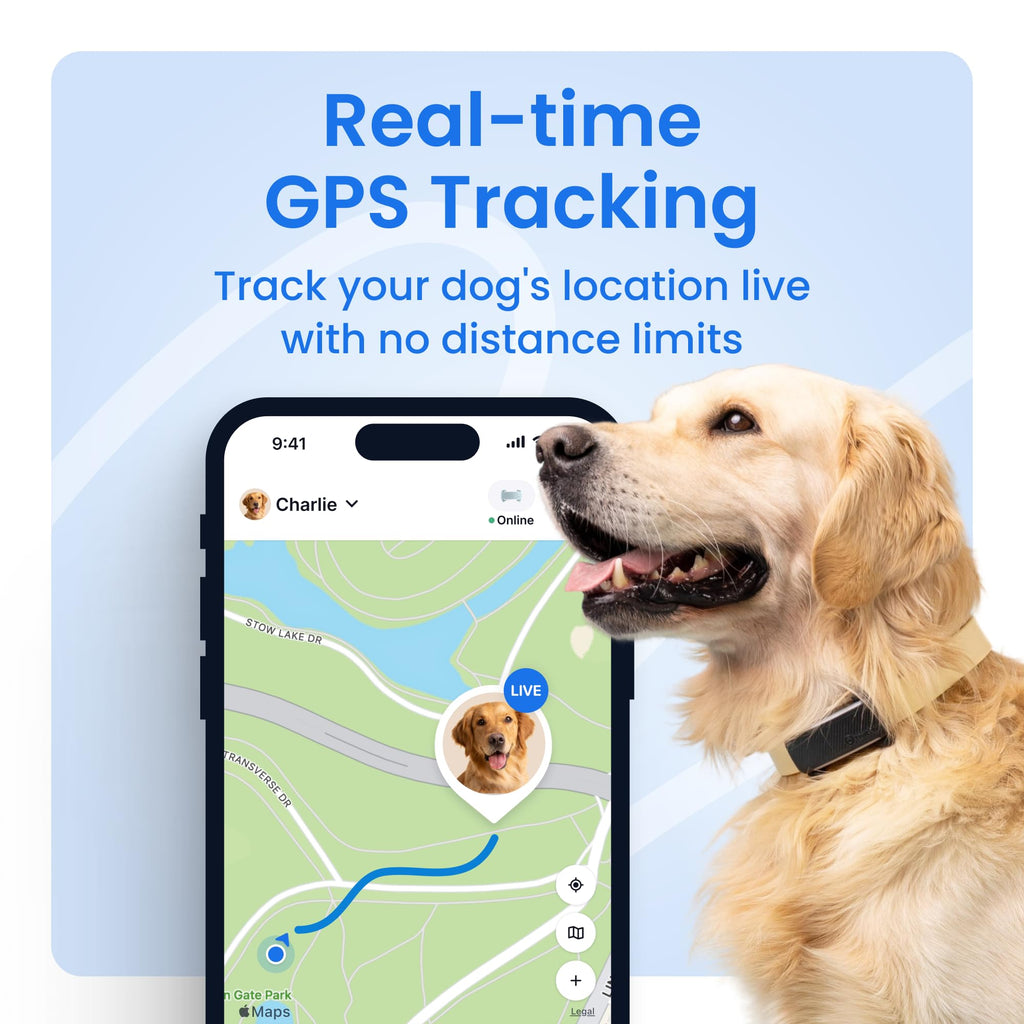 Smart Dog GPS Tracker