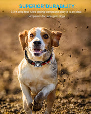 Waterproof AirTag Dog Collar Holder