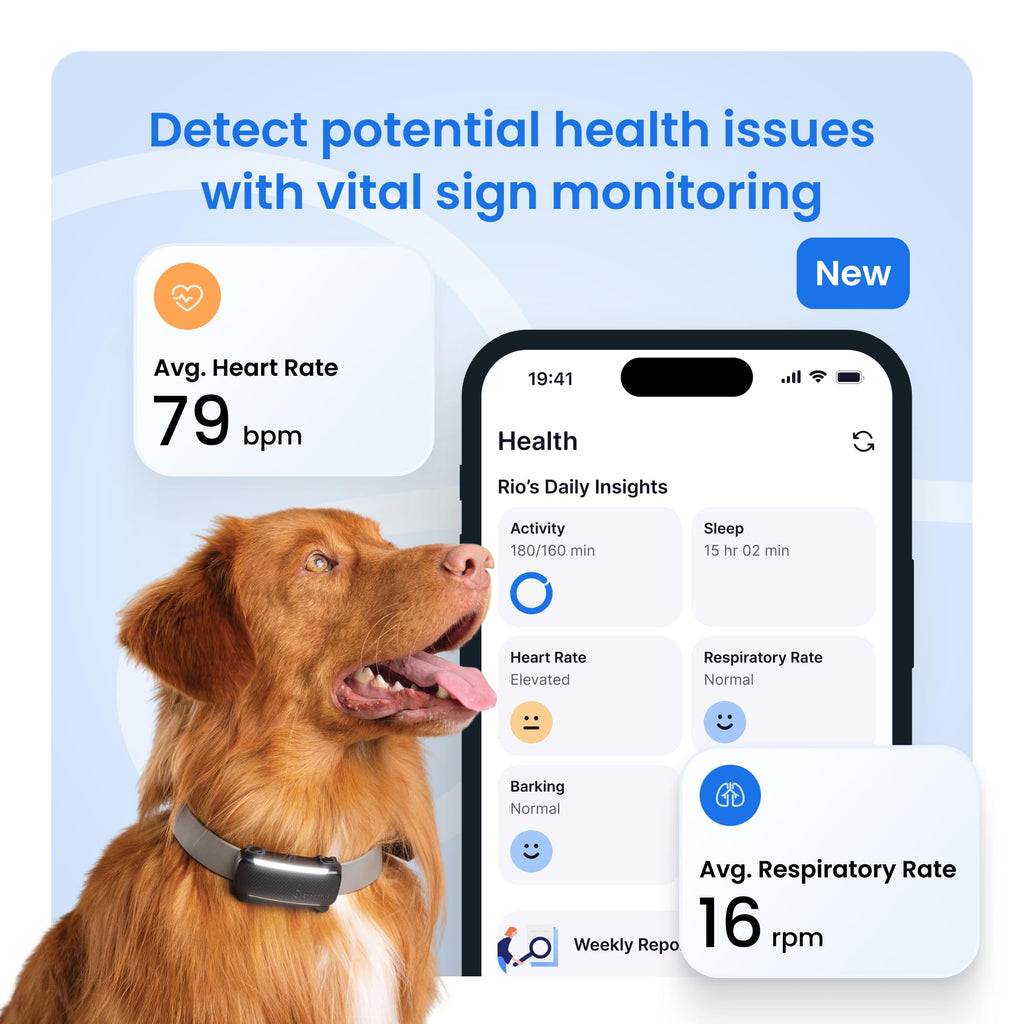 Smart Dog GPS Tracker