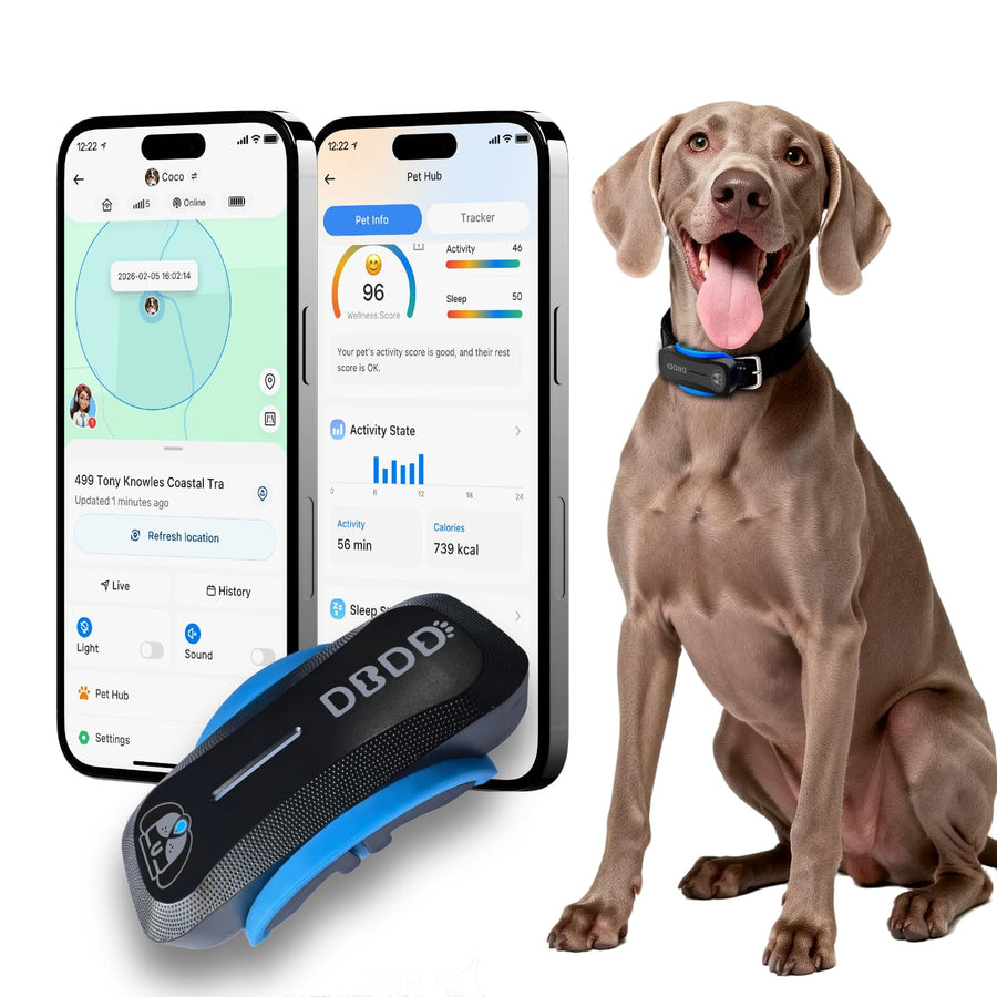 Smart AI GPS Dog Tracker