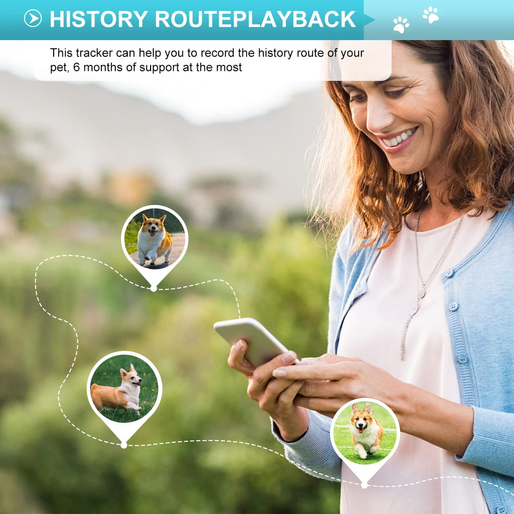 4G GPS Pet Tracker Collar