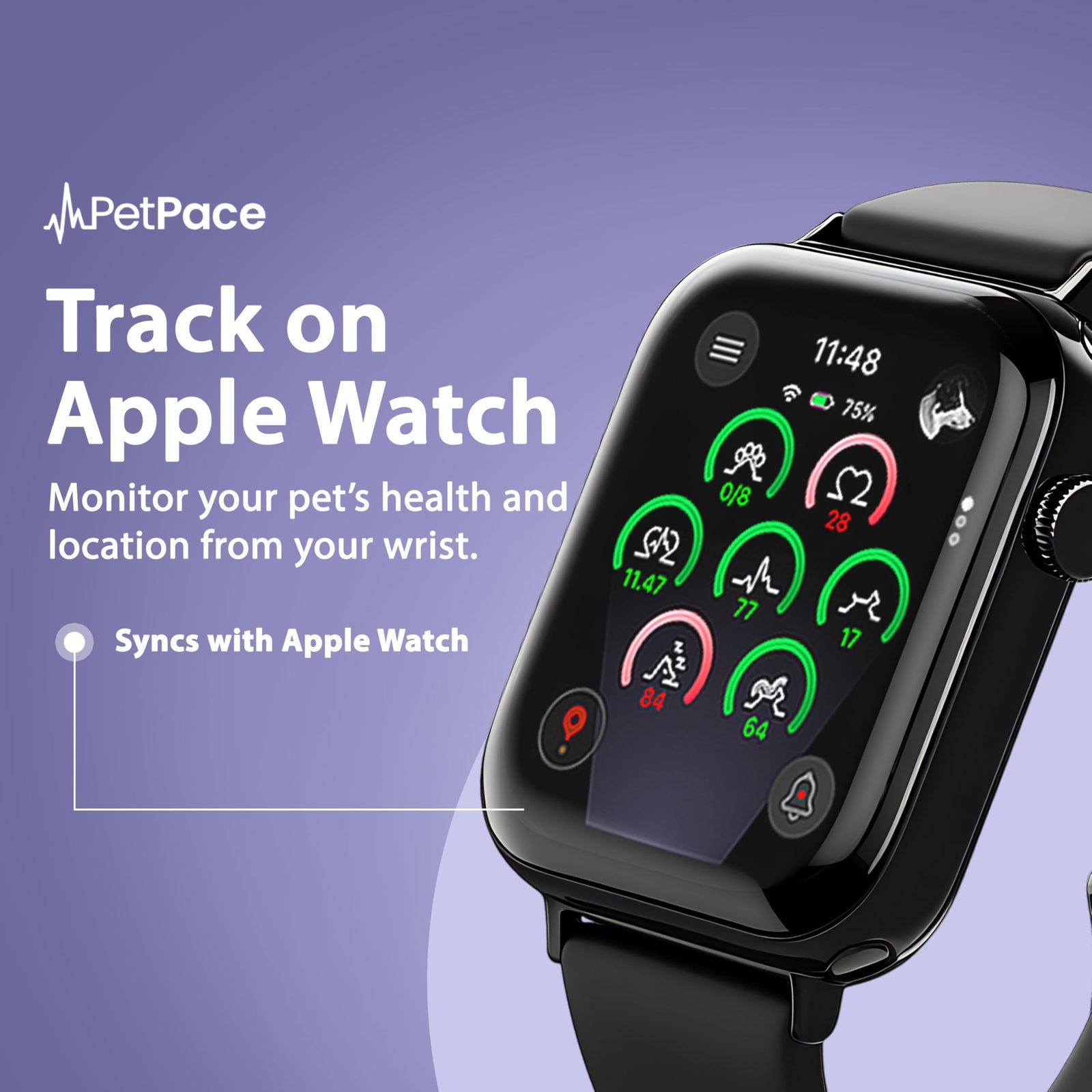 AI Smart Dog Health Collar