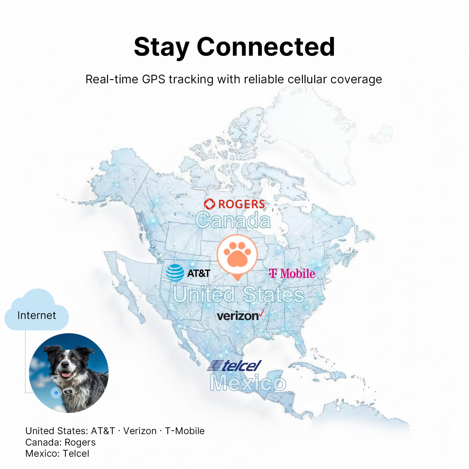 Smart GPS Dog Tracker