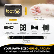 Smart GPS Cat Tracker Collar