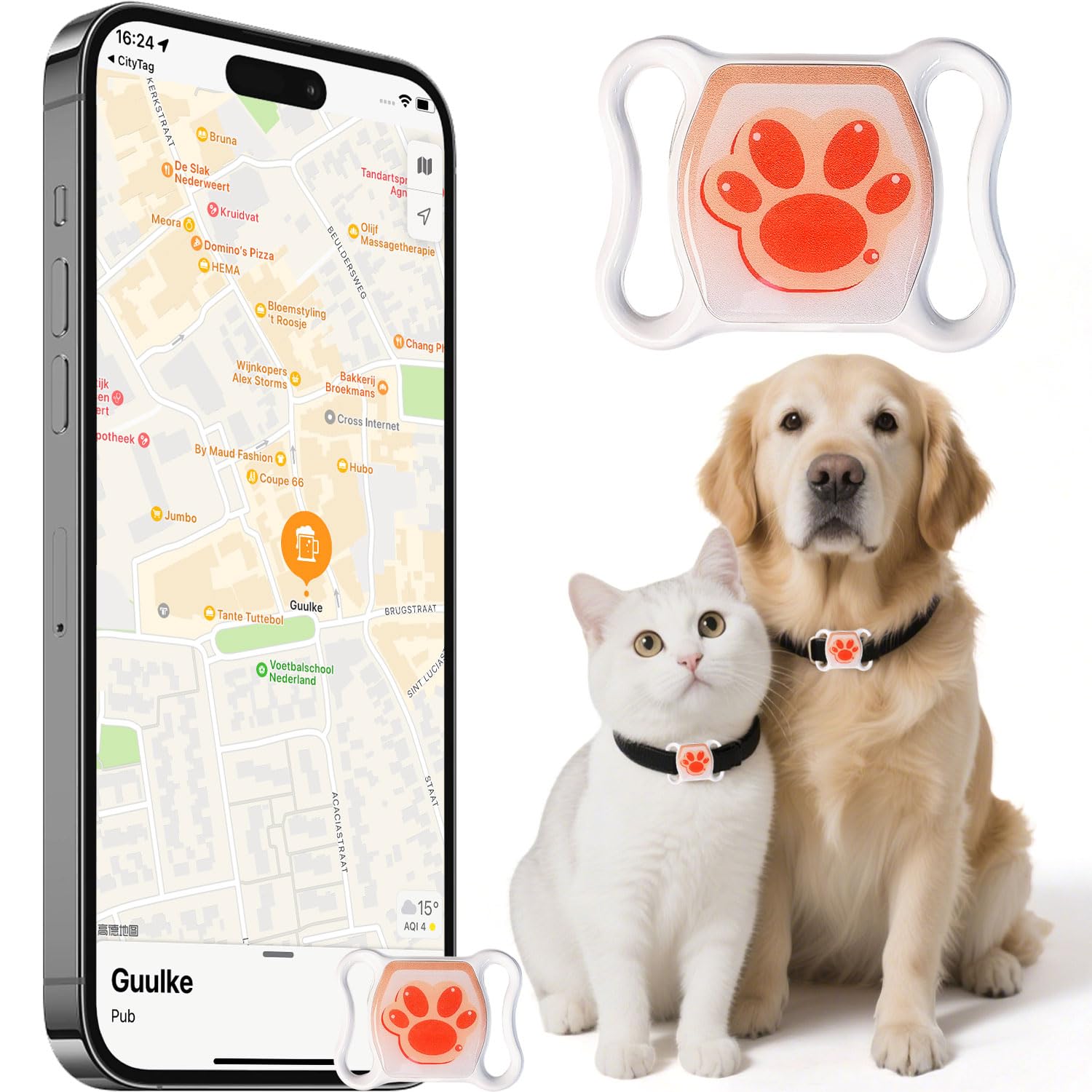 Real-Time Cat Tracker