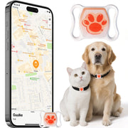 Real-Time Cat Tracker