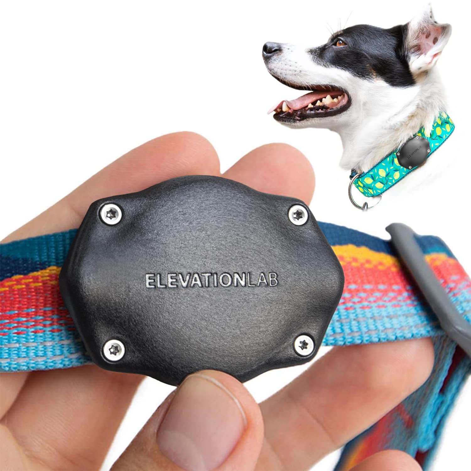 Waterproof AirTag Dog Collar Mount