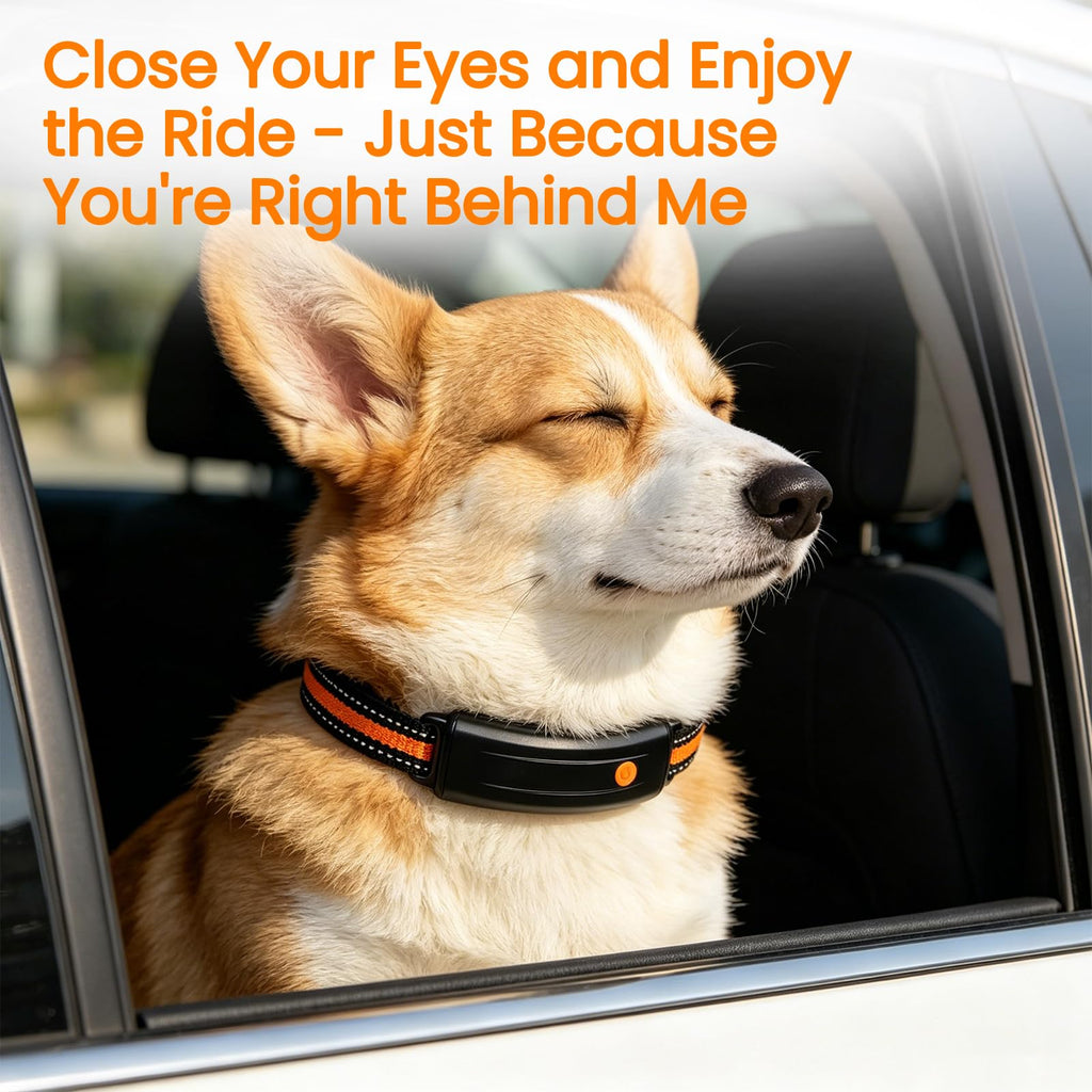 Smart Dog Health Collar